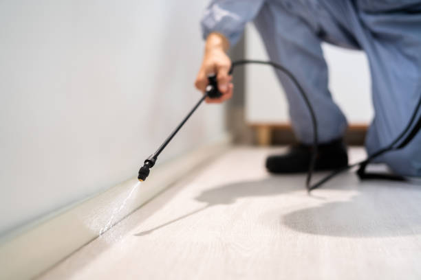 Licensed Pest Control service in Peabody, KS - Show Me Pest Control