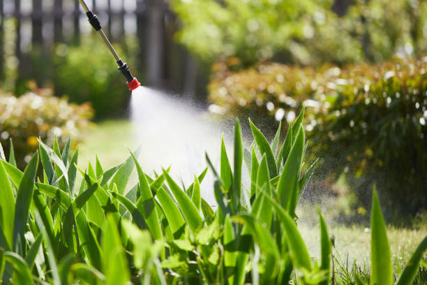 24/7 Emergency Mosquito Control experts in Peabody, KS